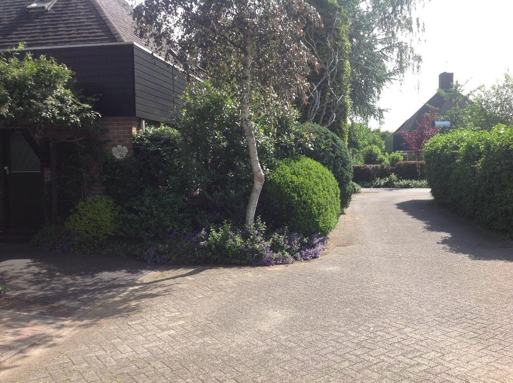 B&B Molenzicht Warnsveld Exterior foto