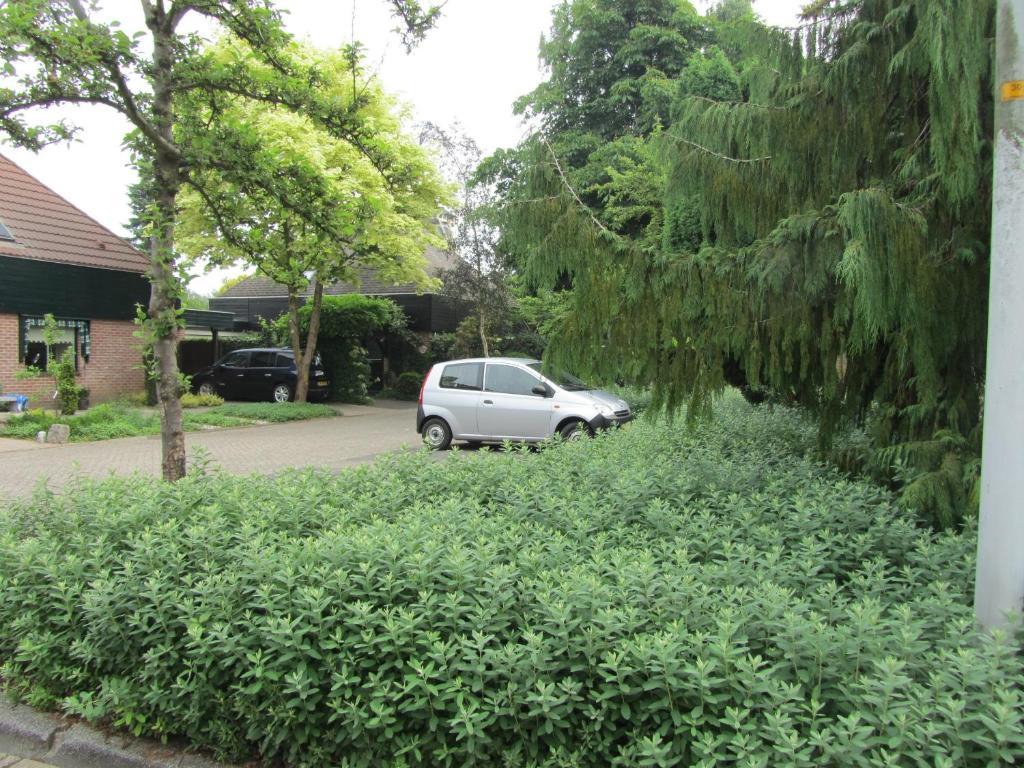 B&B Molenzicht Warnsveld Exterior foto